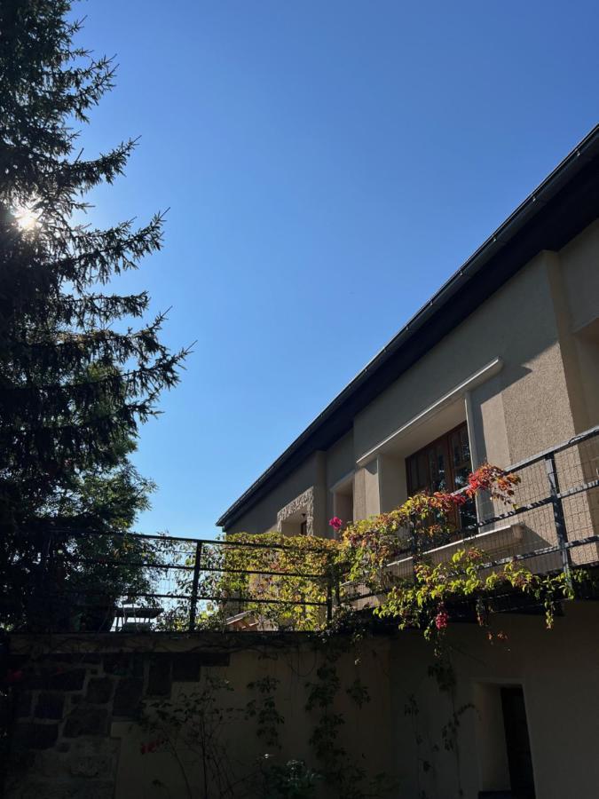 Vila Bellevue Jablonec nad Nisou Exterior foto
